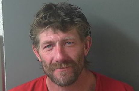 Shannon D. McCoy